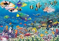 1352 Undersea Garden